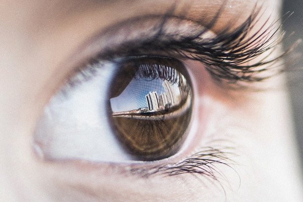 El objetivo equivalente a la visión humana