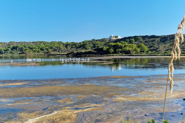 Taller inmersivo en Menorca