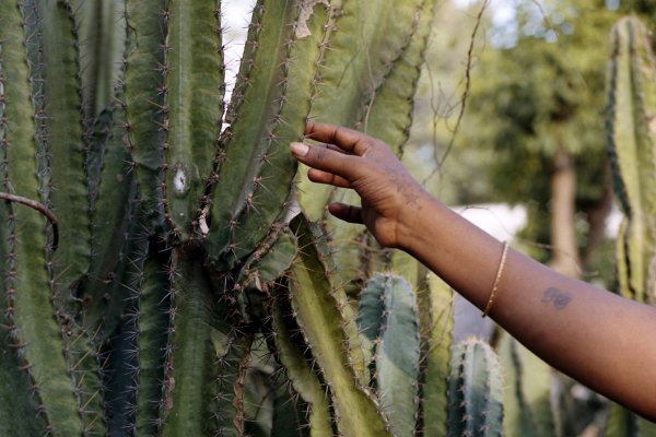Masterclass con Neus Solà - Fotografía para entender el mundo